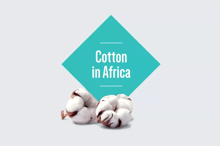 Cotton in Africa