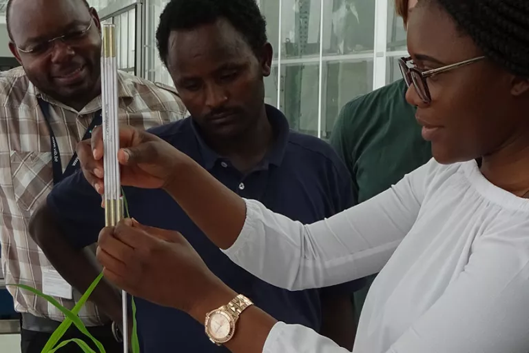 PLANT BREEDING AND BIOTECHNOLOGY
