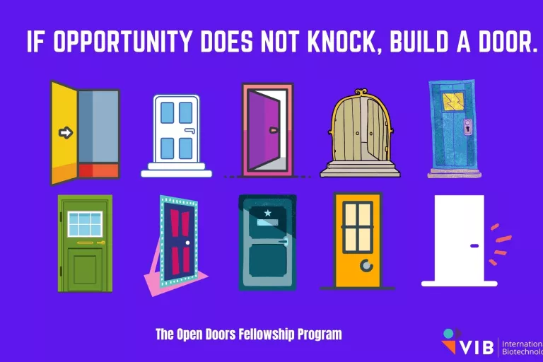 Open Doors multiple Doors