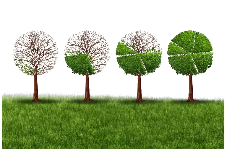 bio economy