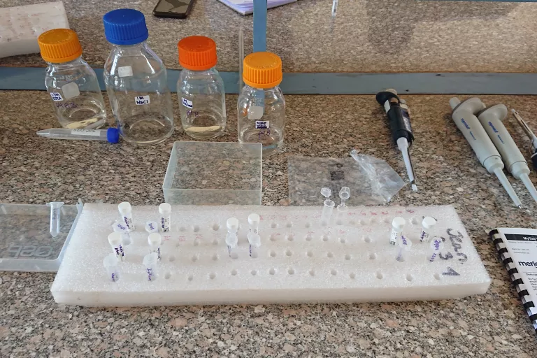 Lab materials