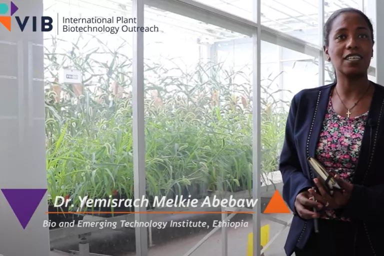 Dr. Yemisrach Melkie Abebaw - Open Doors Fellowship Program (Cohort Beta 2023/2024)