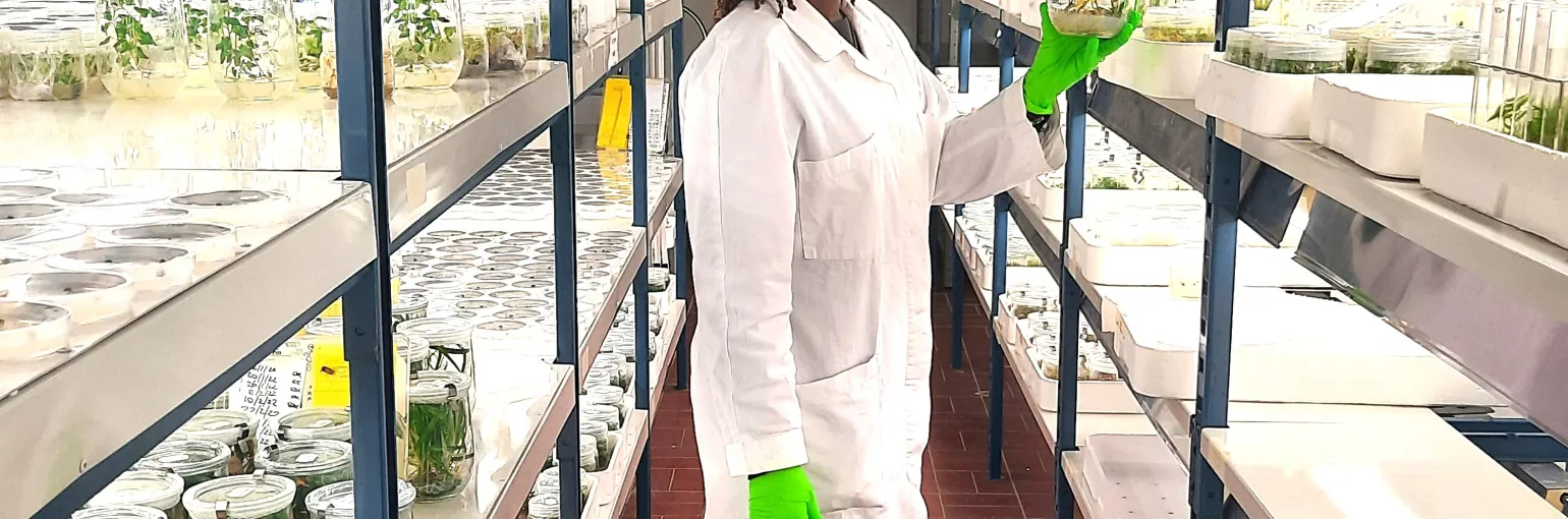 Anique in cold chamber