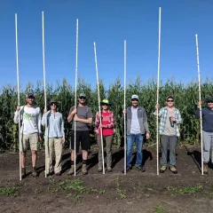 Candy Hirsch Lab